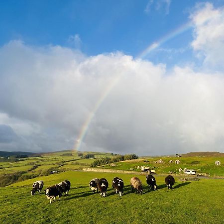 Shepherds View Rhayader Exteriér fotografie