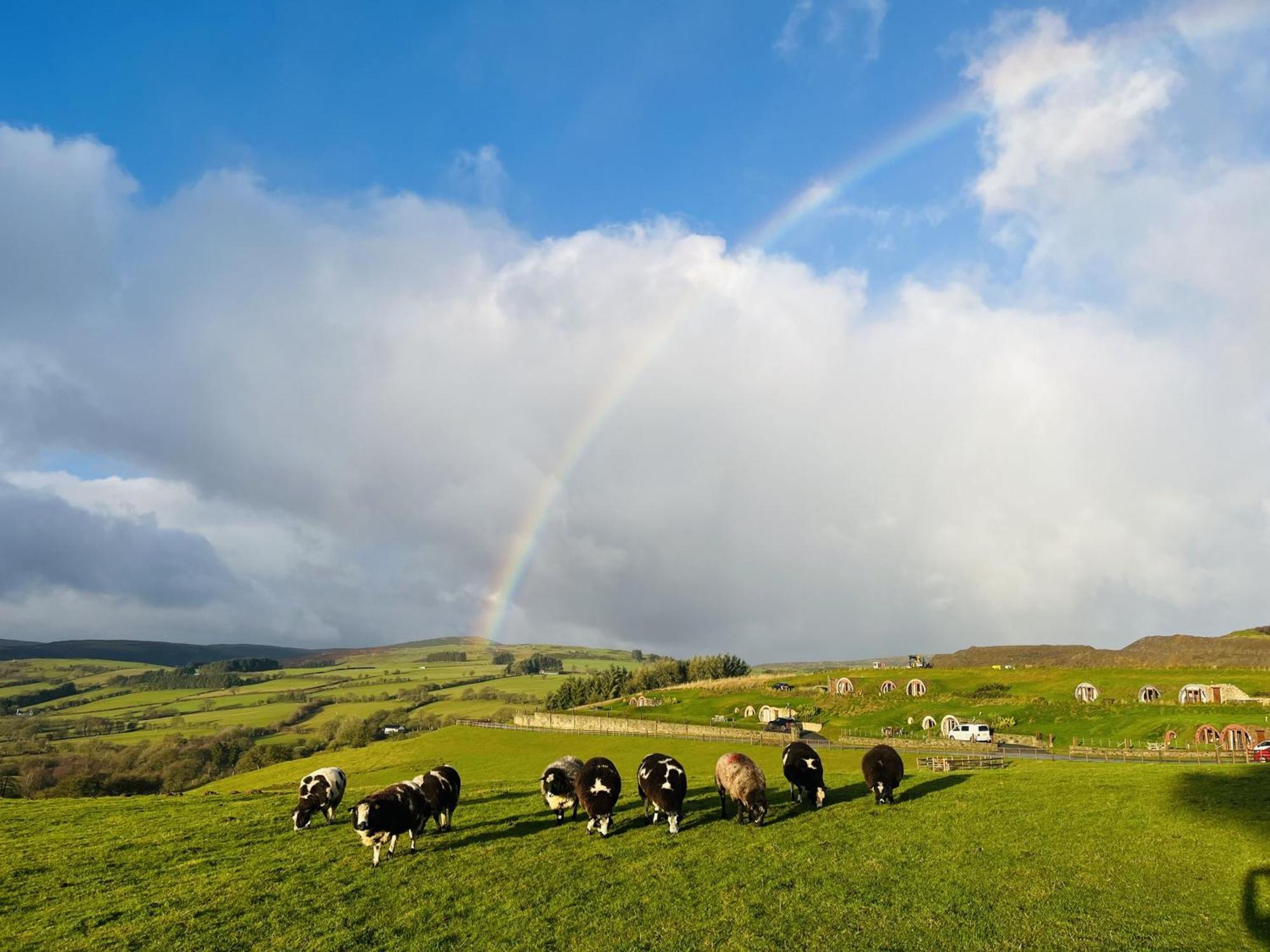 Shepherds View Rhayader Exteriér fotografie